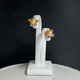 Amami gold®×Sunshine Gold　白蝶真珠6mm  K18ピンクゴールドピアス107