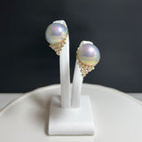 奄美の輝き®×虹珠　マベ真珠 14mm K18イエローゴールド巻イヤリング39