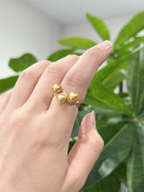 Amami gold®×Sunshine Gold　白蝶真珠6mm  K18イエローゴールドリング763