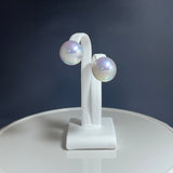 奄美の輝き®×虹珠　マベ真珠  14mm K18イエローゴールドピアス591