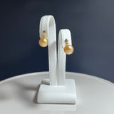 Amami gold®×Sunshine Gold　白蝶真珠6mm  K18イエローゴールドピアス105